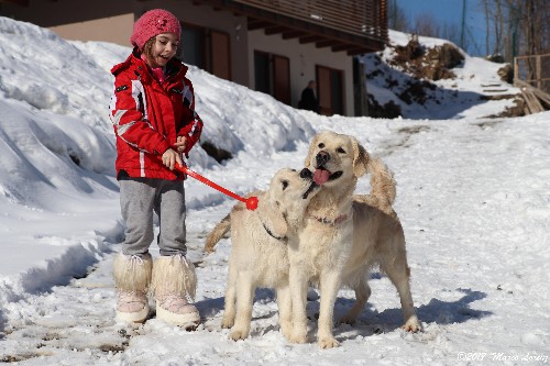 LIMONE PIEMONTE